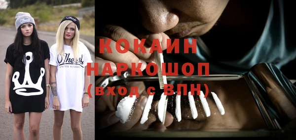 PSILOCYBIN Заводоуковск