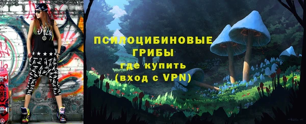 твердый Алексеевка