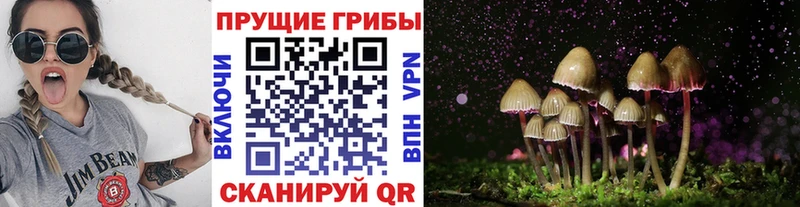 Галлюциногенные грибы Magic Shrooms  Котлас 